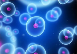 生物種判定システム<br/>生物科学技術企業